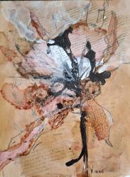 Klik voor vergroting.