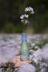 Klik voor vergroting.